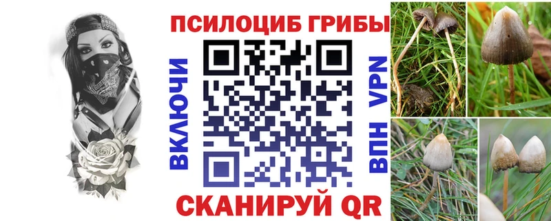 Псилоцибиновые грибы GOLDEN TEACHER  как найти наркотики  Белоозёрский 